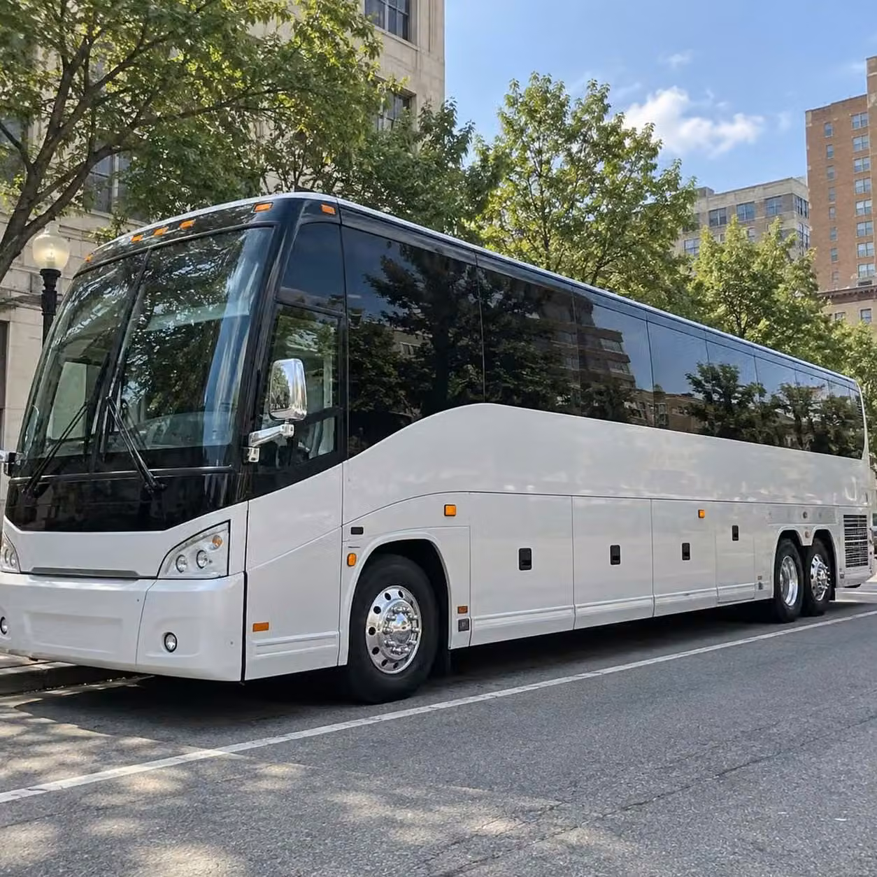 celina guest transportation between celina wedding venues