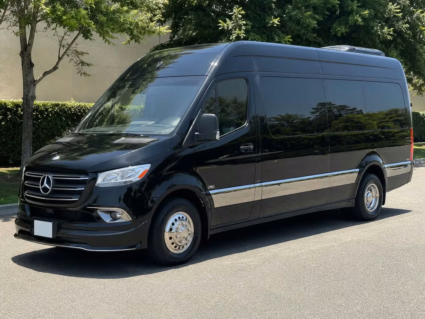 celina sprinter van rental with driver